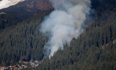 Waldbrand Innsbruck Hötting