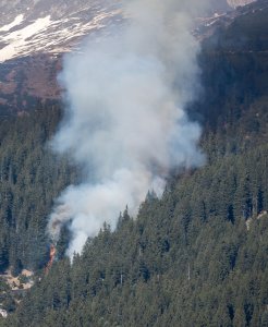 Waldbrand Innsbruck Hötting