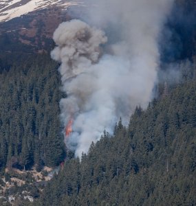 Waldbrand Innsbruck Hötting