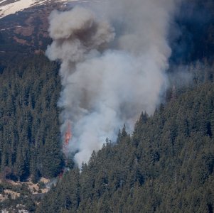 Waldbrand Innsbruck Hötting