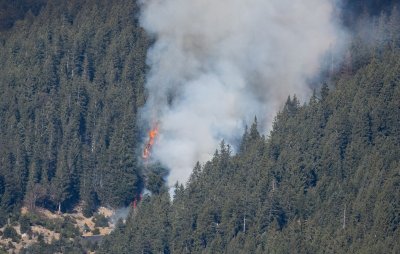 Waldbrand Innsbruck Hötting