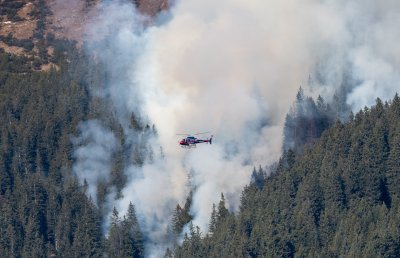Waldbrand Innsbruck Hötting