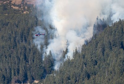Waldbrand Innsbruck Hötting