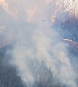 Waldbrand Innsbruck Hötting