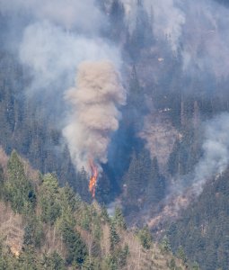 Waldbrand Innsbruck Hötting