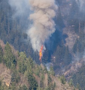 Waldbrand Innsbruck Hötting