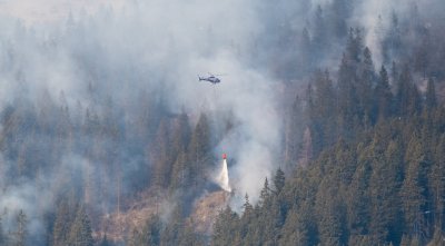 Waldbrand Innsbruck Hötting