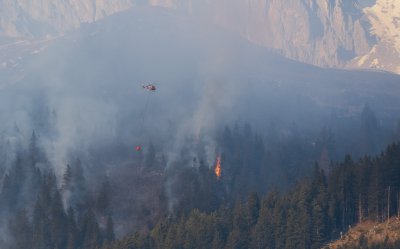 Waldbrand Innsbruck Hötting